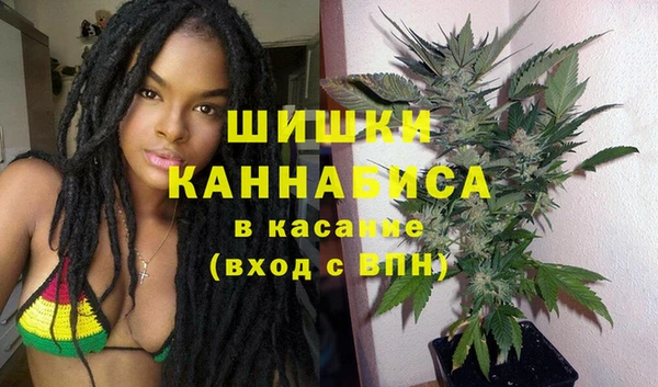 стафф Аркадак